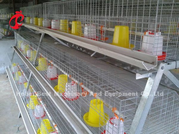 ISO Battery Type Breeding Cage , 3 tier chicken cage For Poultry Farm Iris