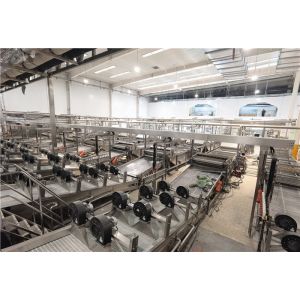 Quality Double Concentrate Berry Fruit Tomato Processing Line for sale