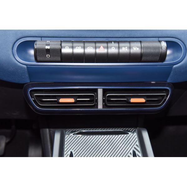 New Energy Vehicles Cruising Range 305Km BYD Seagull Model Pure Electric