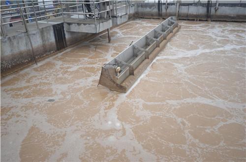 Buy Sequence Batch Reactor Food Processing SBR Wastewater Treatment at wholesale prices