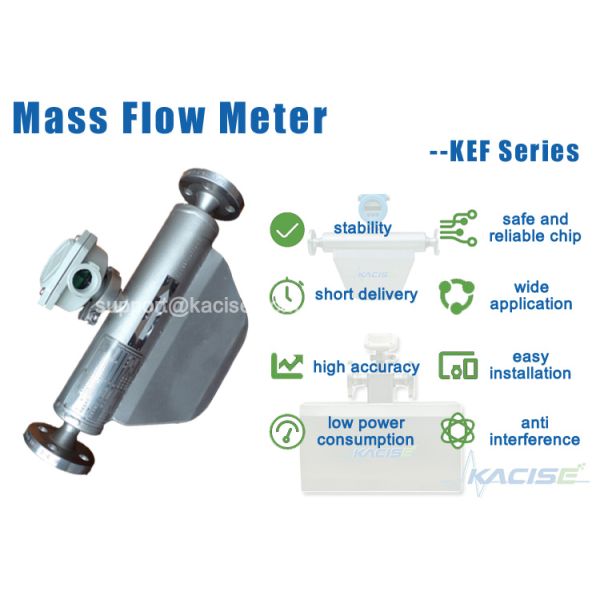 Pulp & paper coriolis mass flow meter with flow rate 0-150th/h