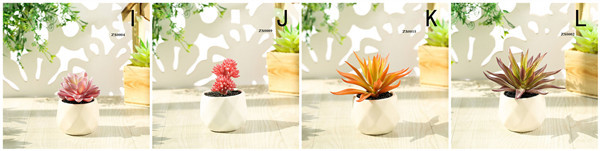 Mini Succulent Artificial Potted Plants Strange Shape Green Platsic Material