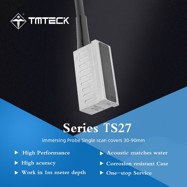 TS27 I3 immersion probe