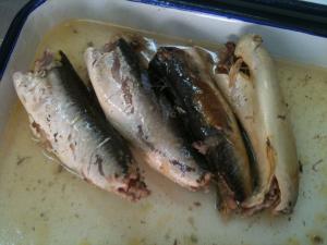 China EU Certified Mackerel Canned Fish In Brine High Heart Healthy Omega - 3 Fatty Acids on sale