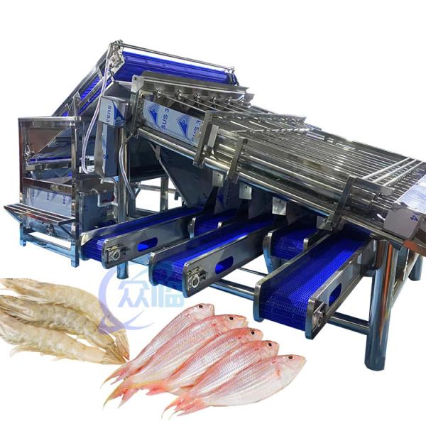 Buy Automatic Shrimp Grading Machine 4.9KW Stable For Vannamei Sorting at wholesale prices