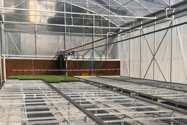 mesh grow table 1.jpg