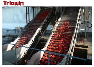 Quality Fully Automatic Tomato Paste Processing Line Tomato Scraper Elevator Standup Pouch for sale