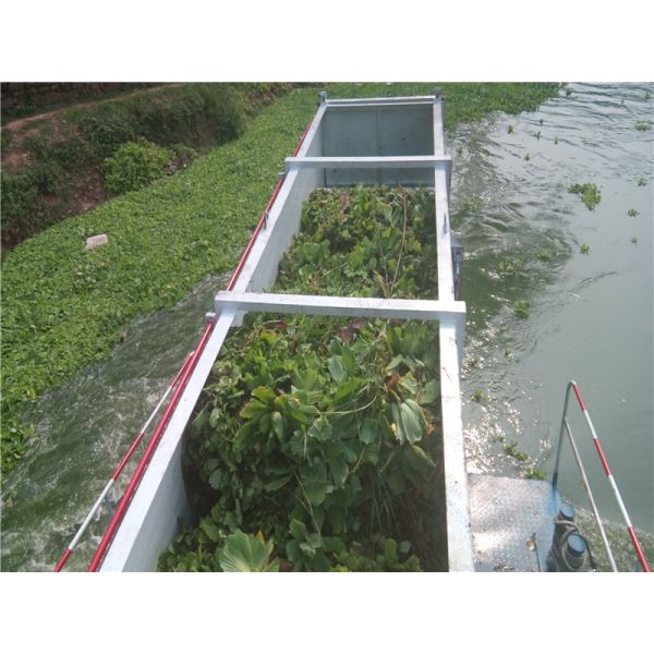 Water Reed Hyacinth 5000m2 Aquatic Weed Harvester Boat