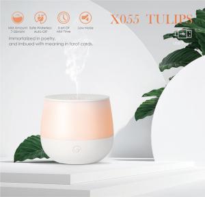 Quality Delko Ultrasonic Aroma Diffuser - Imagine Essential Oil Rechargeable Diffuser 80 ml in Iridescent for sale