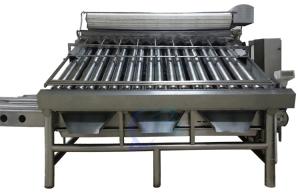 Practical Roller Fish Grader Machine , Multi Function Shrimp Sorter