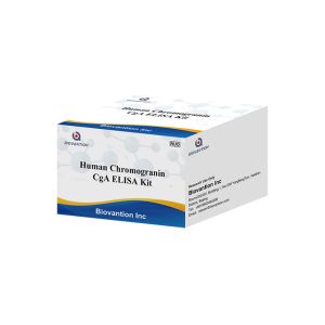 China CgA ELISA RUO Test Kit Human Chromogranin A Elisa Kit Pituitary Secretory Protein I on sale