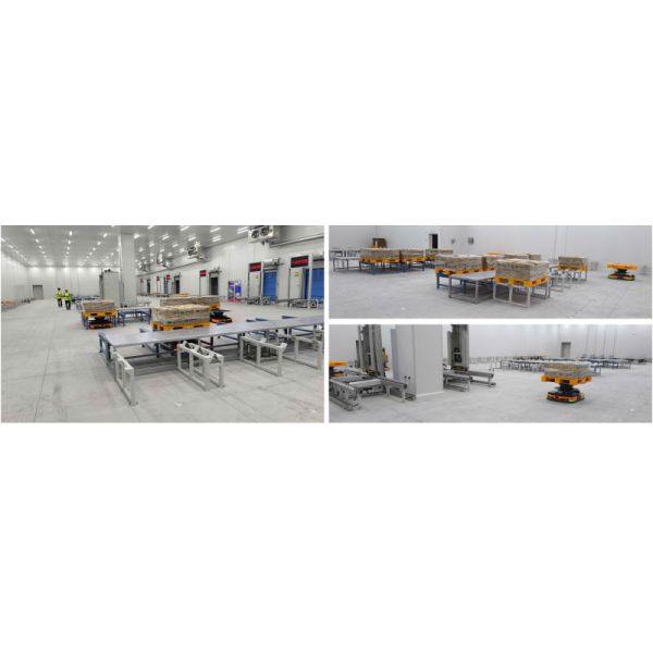 Cold Storage Warehouse ASRS Automated Storage and Retrieval System