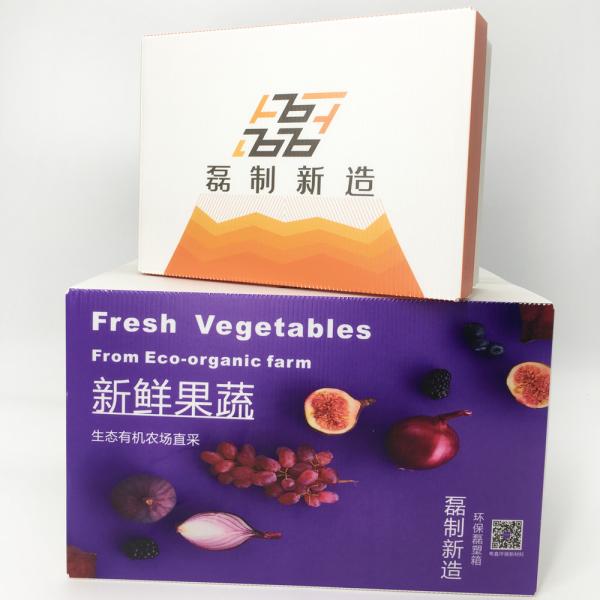 Anti Rodent Corrugated Plastic Storage Boxes 2.0mm Reusable Promotion Display Box On Shelf