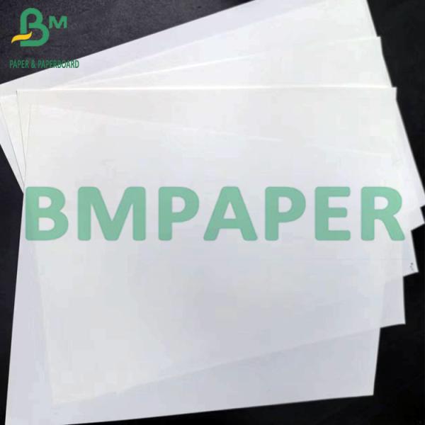 80um 100um Coated Grease-Free White PP Synthetic Paper For Menu (4) 80um 100um Coated Grease-Free White PP Synthetic Paper For Menu