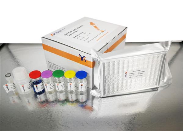 Buy Sandwich Type Custom Human Cys C ELISA Kit with 2 Hours Assay Time at wholesale prices