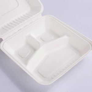 Quality Eco Friendly Sugarcane Bagasse Clamshell Biodegradable Take Away Food Packaging for sale