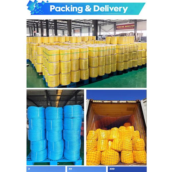 Wholesale High Strength 3 Strand PP Rope 6mm-40mm Size 200m/220m Length For Packaging Bundling