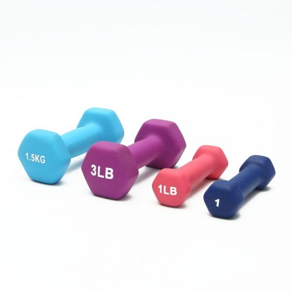 Buy 3kg Fitness Neoprene Dumbbells ZHIHUI 7 Pound Hand Weights No Odor at wholesale prices