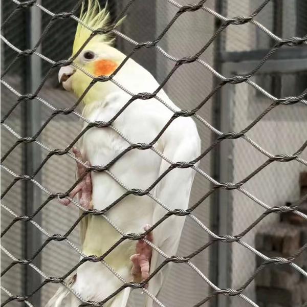 Anti Corrosive 306 316 Stainless Steel Mesh For Bird Aviary Netting