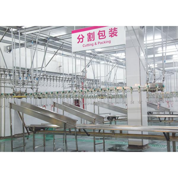 Professional Broiler Poultry Abattoir Equipment Customized Quail Slaughter Machine