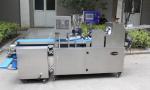 Twice Rolling Bread Production Line Panning Machine Optional With Custom Tailor