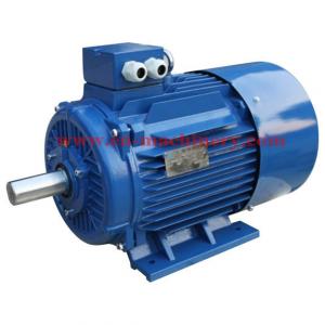 Quality Single Phase Electric Generator Motor (YL-90L4) 50Hz 220V Electric Three Phase Motor for sale