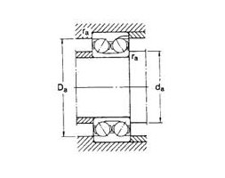 Double Row Angular contact ball bearing - ZZ 47.8