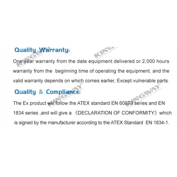 Kingway 125KVA ATEX Certified 2.7-1 DNV Standards Lifting Frame T3 Zone 2 Ex-proof Generator For Petroleum Engineering