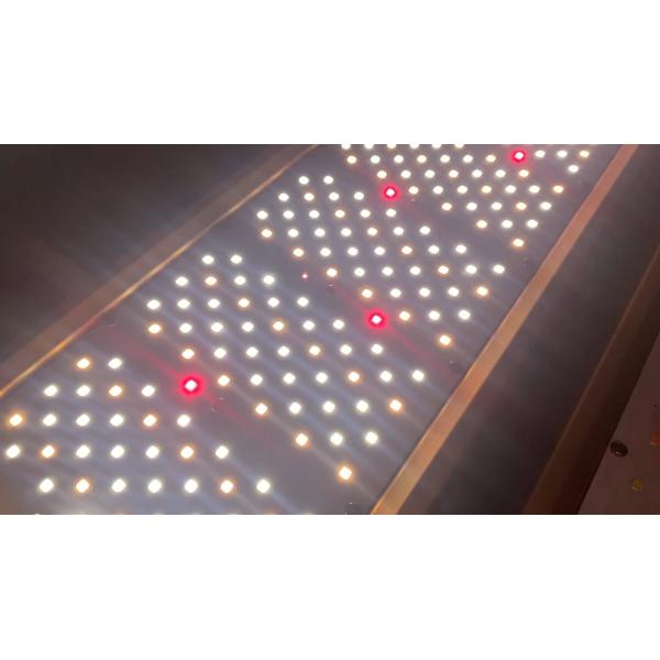 Growers Republic Greenhouse LED Grow Light Angle Adjustable 320 Watt LED