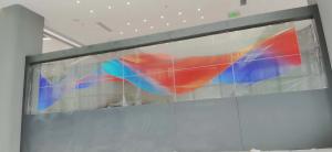 55 Inch Panel Self-Emission Transparent OLED Screen Display with High Transparency and Optional Touch Screen Function