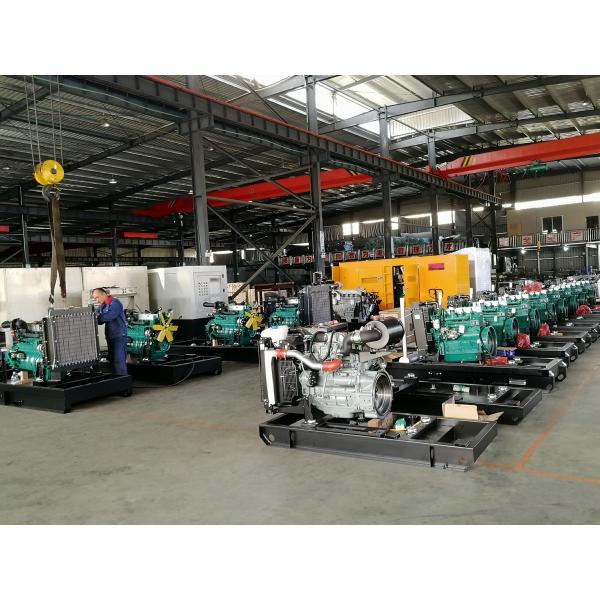 Ricardo Electric Generator