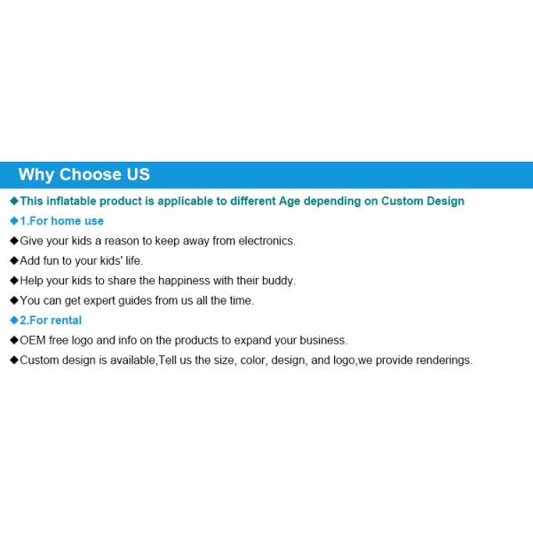 New Attractive Theme Inflatable Cartoon Bouncer house Combo Jumping Castle