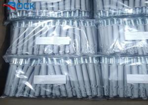 China Stainless Steel Expansion Nail 10*160mm White Plastic Wall Anchor on sale