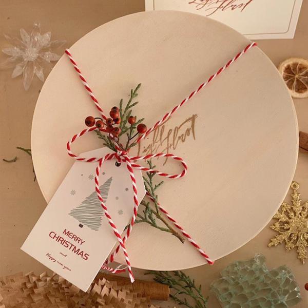 DIY 2 Strand Twisted Cord 550 Pounds 2mm Cotton Macrame Cord