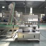 PLC Core Components 2.5KW Simple Automatic Linear Capping Machine for Your