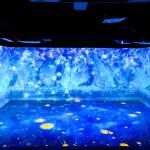 Virtual Learning Spaces Immersive Classroom Immersive Education Application