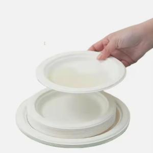 Round 6 Inch Sugarcane Pulp Plates Sugarcane Compostable Plates Sustainable