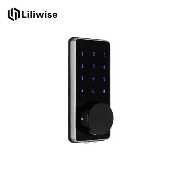 Buy Wifi Control Automatic Deadbolt Smart Password Door Lock Low Power Consumotion at wholesale prices
