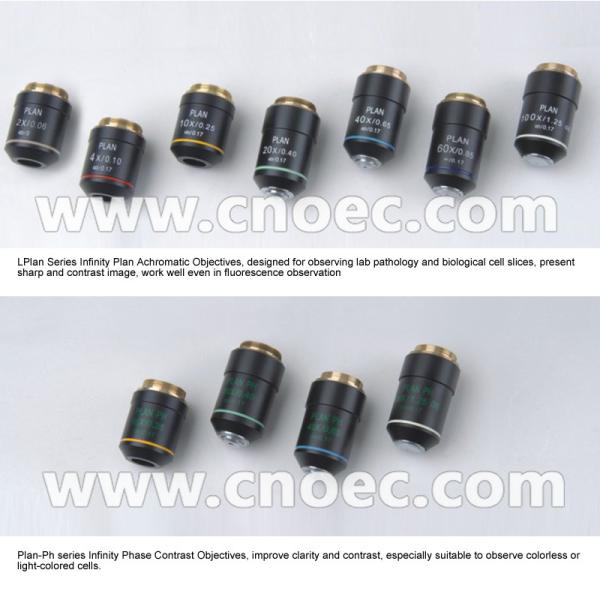 Buy Infinity Binocular Compound Microscope With Infinity Plan Objective A12.0908 at wholesale prices