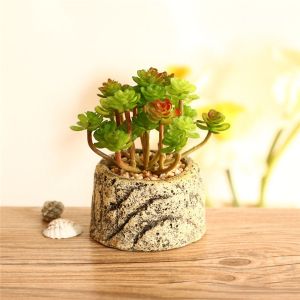 Quality Mini Succulent Artificial Potted Plants Strange Shape Green Platsic Material for sale