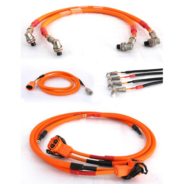 CTS Industrial Wiring Harness for Motorcycle Auto Electric Vehicle High Voltage Power Cable