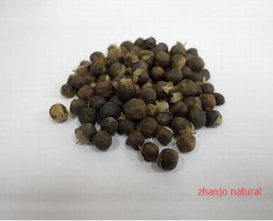 Quality FRUCTUS VITITCIS Vitex trifolia L.fruits Chinese herb Man jing zi for sale