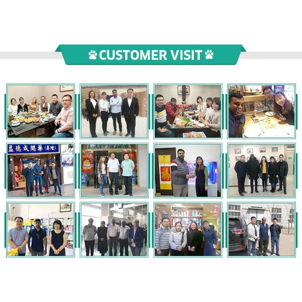 Private Label Custom Size Accepted Environmental Protection Ldpe Hdpe Dog Waste Bag