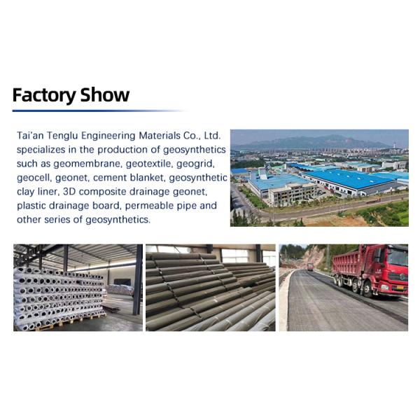 80KN/100KN Warp Knitted Polyester Biaxial Geogrid Ideal for Highway Soil Reinforcement