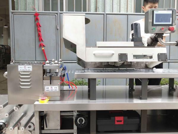 Dpp250 blister packing machine for chewing gum with GMP good quality