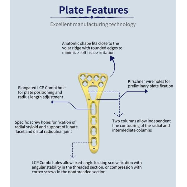 Class II Multi Axial Distal Variable Angle Locking Plate