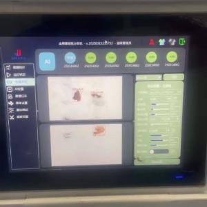 Quality Walnut Kernel Sorting Machine AI-Powered Industrial-Grade Stability Real-Time Monitoring For Intelligent Nut Processing for sale