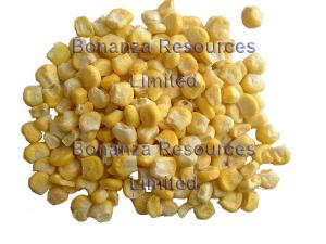 Freeze Dried Sweet Corn Ingredients of Instant Soup Noodles