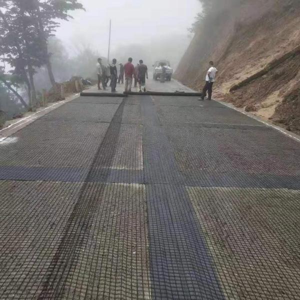 Modern Design Geogrids PE Biaxial Mesh Fiberglass for Driveway Stabilization Solution