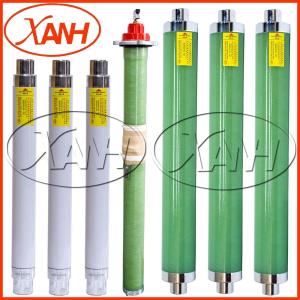 Quality High Voltage Limiting Current Backup Bay-O-Net Elsp Fuse Model Xrnt4-24 for sale